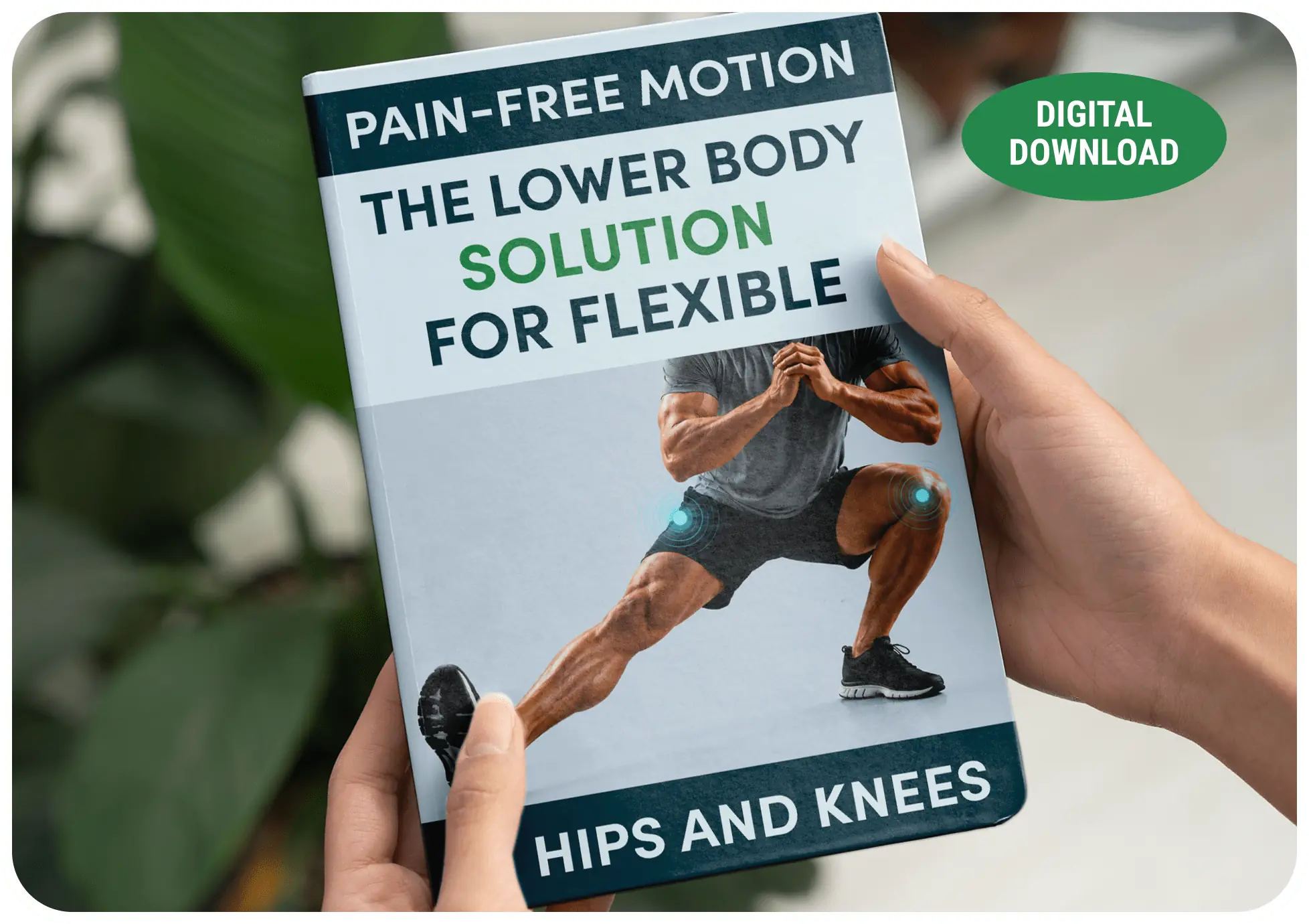 Pain-Free Motion digital bonus guide for hip and knee flexibility